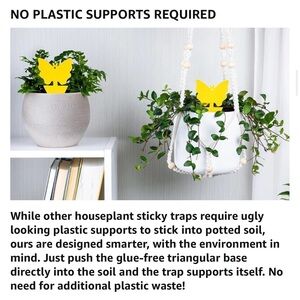 $2 Add-On 🆕Flying Insects Trap 3-Pack